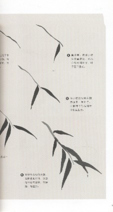 妙趣横生-画竹子 Painting Bamboo With Fun (Chinese Edition)