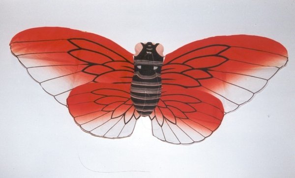 蜜蜂風箏 Vlieger-Bij/Kite-Bee