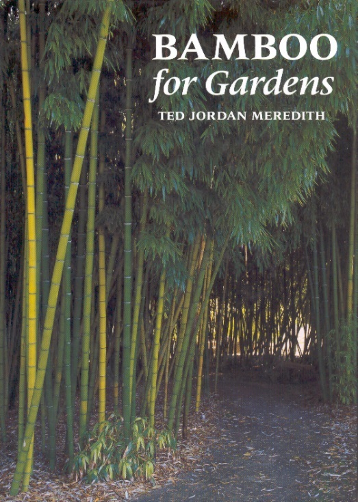 Bamboo For Gardens