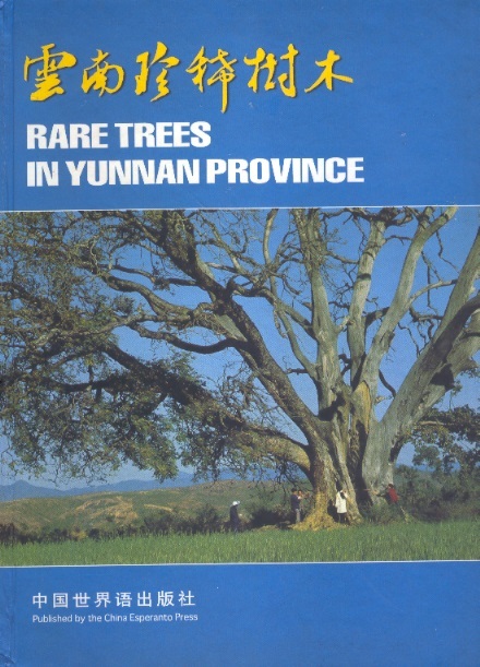 雲南珍稀樹木 Rare Trees in Yunnan Province (Chinese-English Edition)
