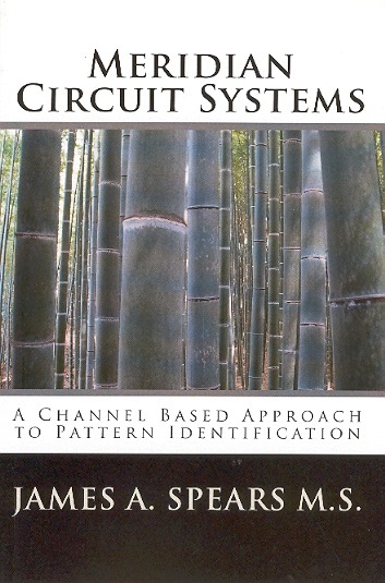 Meridian Circuit Systems-A Channel Based Approach to Pattern Identification