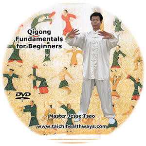 Qigong Fundamentals For beginners (DVD)