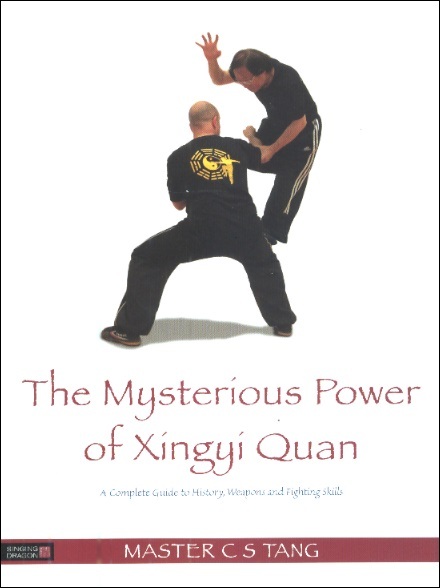 The Mysterious Power of Xingyi Quan: A Complete Guide to History, Weapons & Fighting Skills