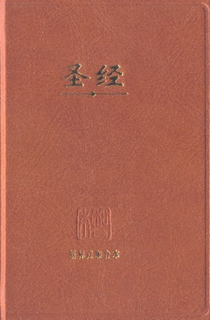 圣经 Holy Bible-Chinese Union Version With New Punctuation (Shangti Edition) 13 x 20 cm