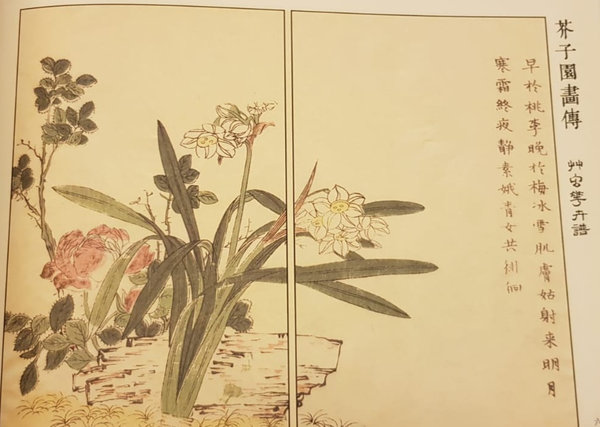 芥子园画传-草虫花卉谱 Mustard Seed Garden Manual of Painting: Grass, Insects & Flowers (Chinese Edition)